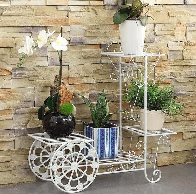 常見的室內空氣淨化植物有哪些